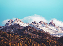 天天盈球即时比分直播-北京国安德籍体育总经理：希望稳扎稳打