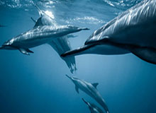 九游游戏：开启你的专属游戏世界，海量福利与高品质社区体验